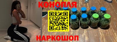 индика Гудермес