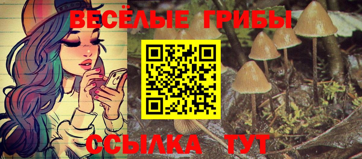 Котельники  Каннабис  Вход с VPN  Гашиш  Экстази  Меф МЯУ МЯУ   Кокаин 