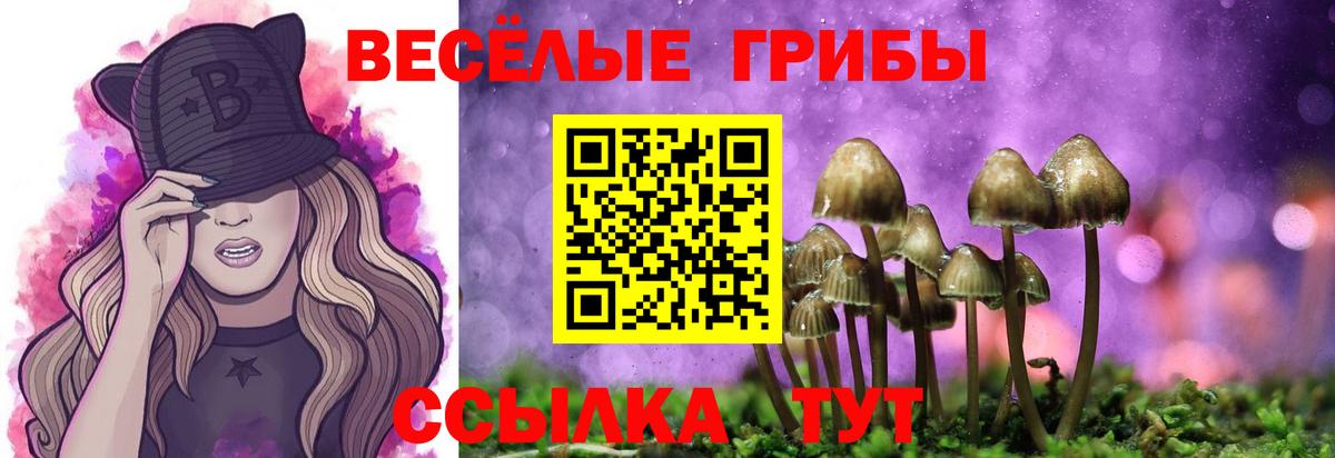 Котельники  Галлюциногенные грибы Magic Shrooms  купить   Вход с VPN  Галлюциногенные грибы Psilocybine cubensis 